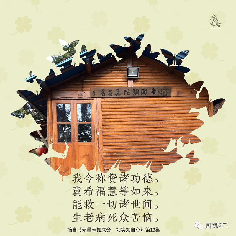 cover_image